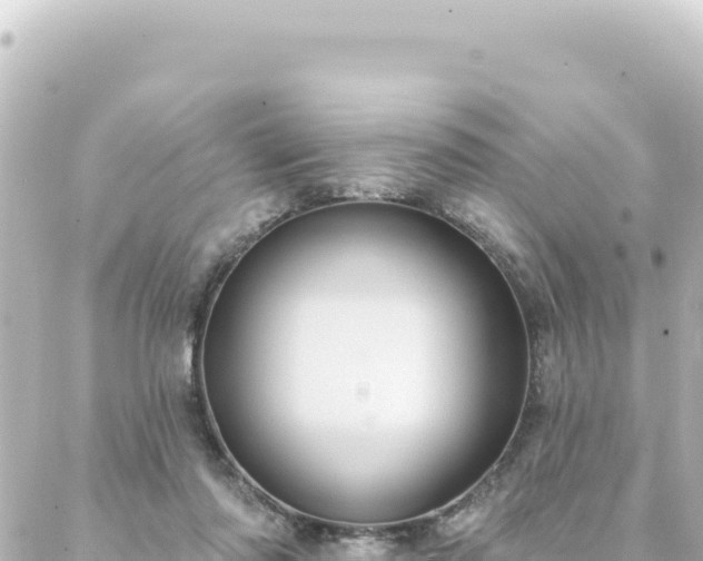 X0000088430310200705291531