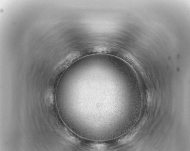 X0000088430313200705291531