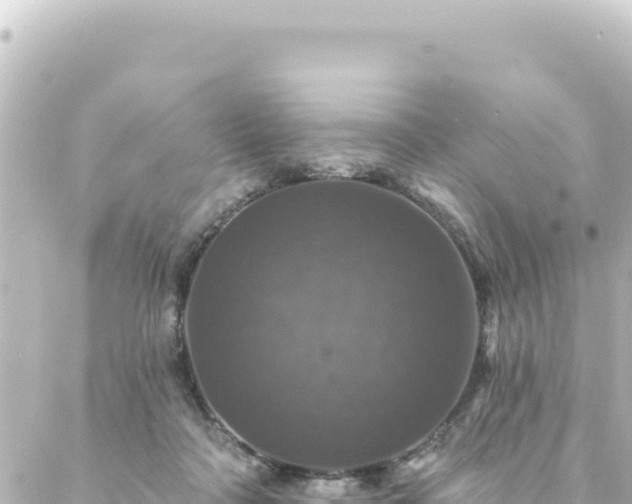 X0000088430314200705291531