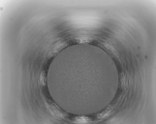 X0000088430316200705291531