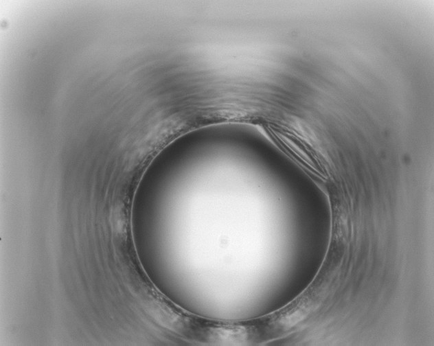 X0000088430317200705291531