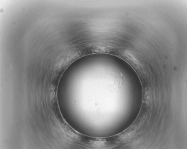 X0000088430318200705291531