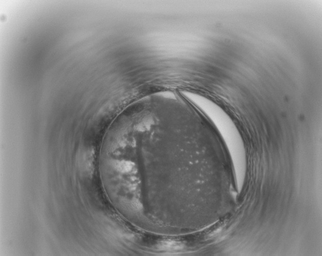 X0000088430319200705291531