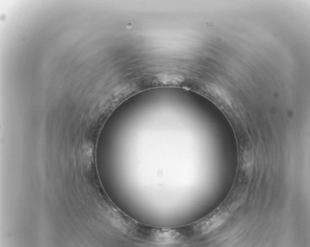 X0000088430321200705291531