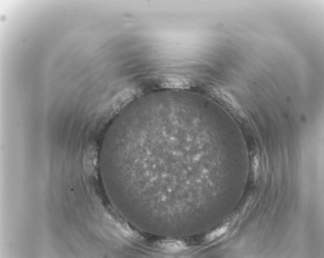 X0000088430322200705291531