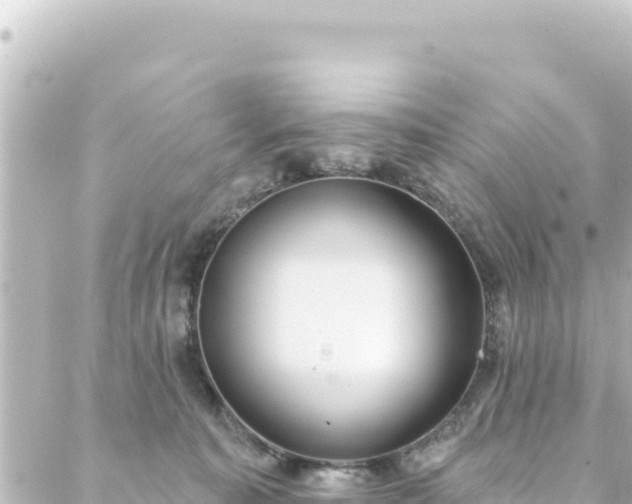 X0000088430323200705291531