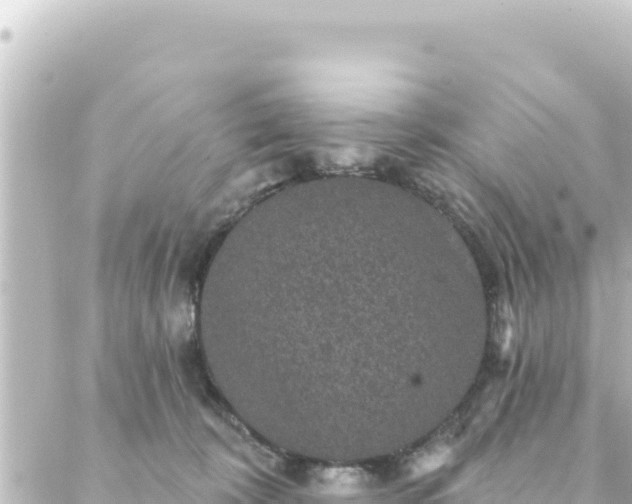 X0000088430324200705291531