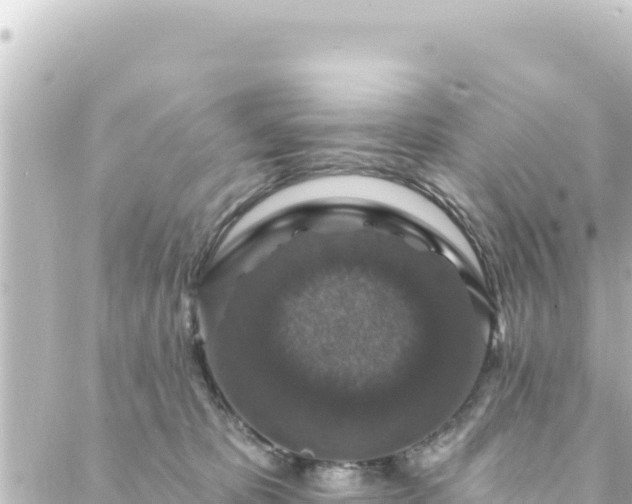 X0000088430325200705291531