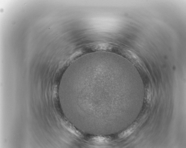 X0000088430326200705291531