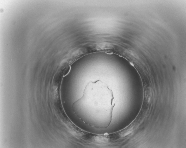 X0000088430327200705291531