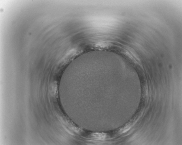 X0000088430328200705291531