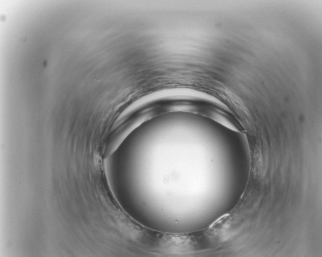 X0000088430329200705291531