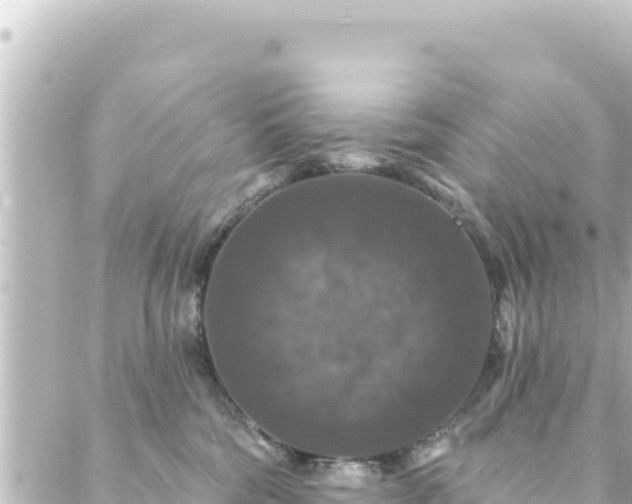 X0000088430330200705291531