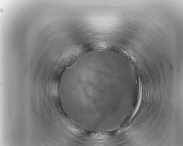 X0000088430331200705291531