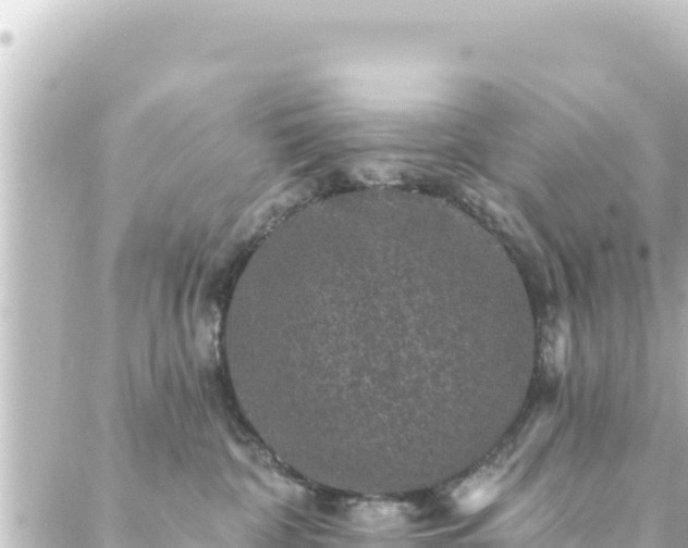 X0000088430332200705291531