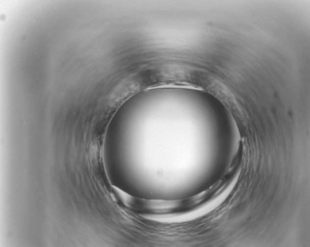 X0000088430333200705291531