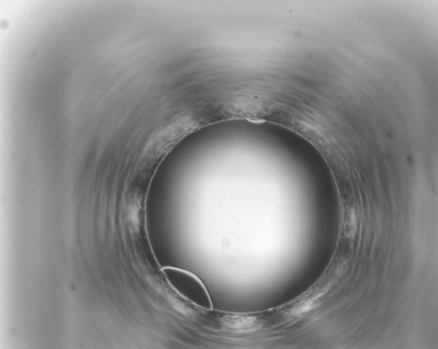 X0000088430334200705291531