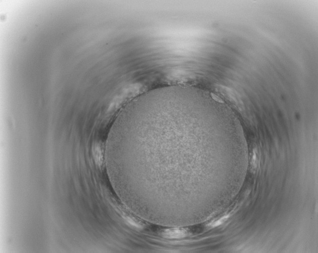 X0000088430335200705291531