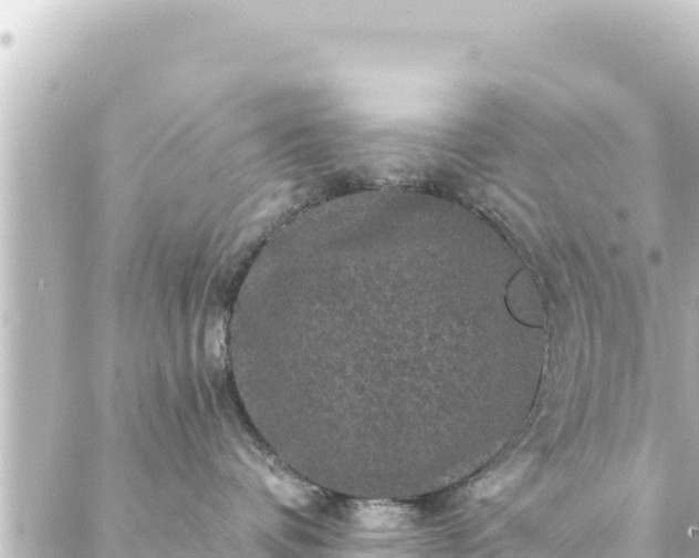 X0000088430336200705291531