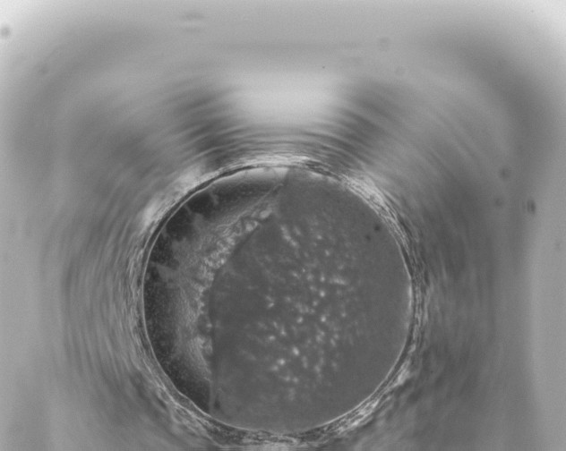 X0000088430337200705291530