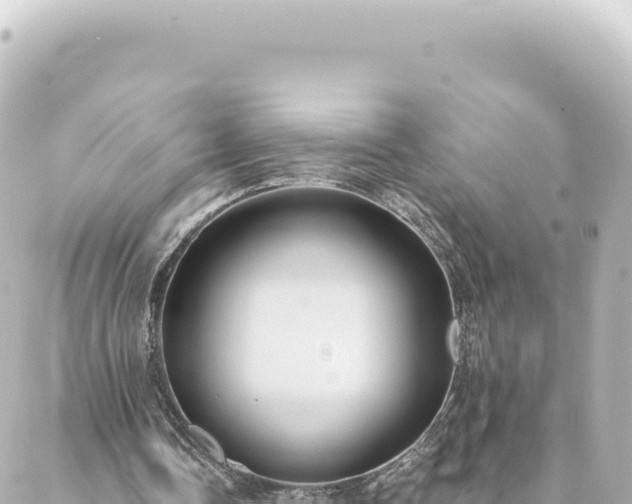 X0000088430338200705291530