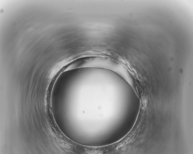 X0000088430340200705291530