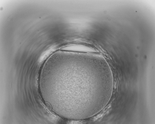 X0000088430341200705291530