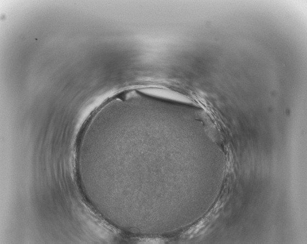 X0000088430342200705291530