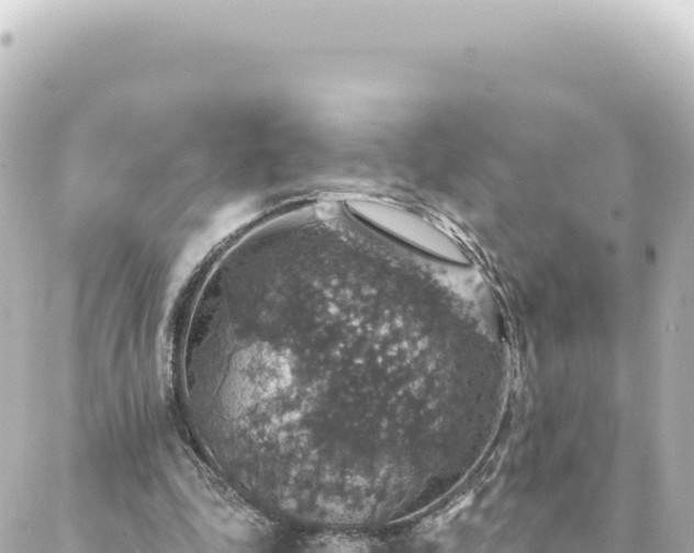 X0000088430343200705291530