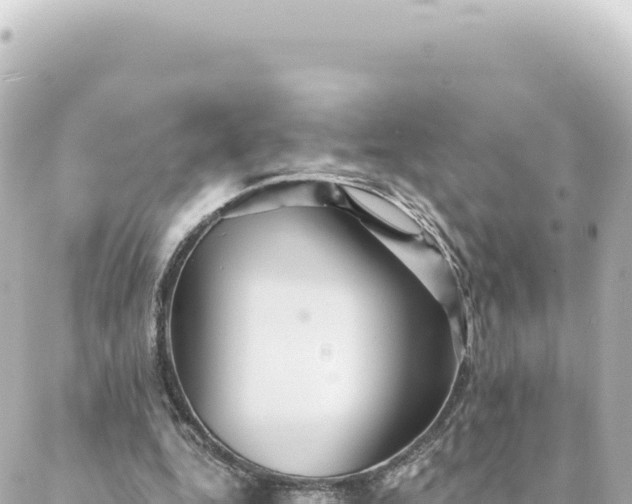 X0000088430344200705291530