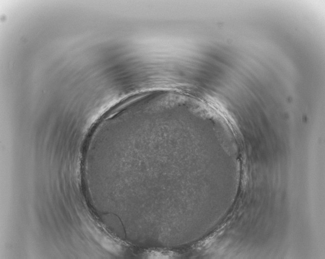 X0000088430346200705291530