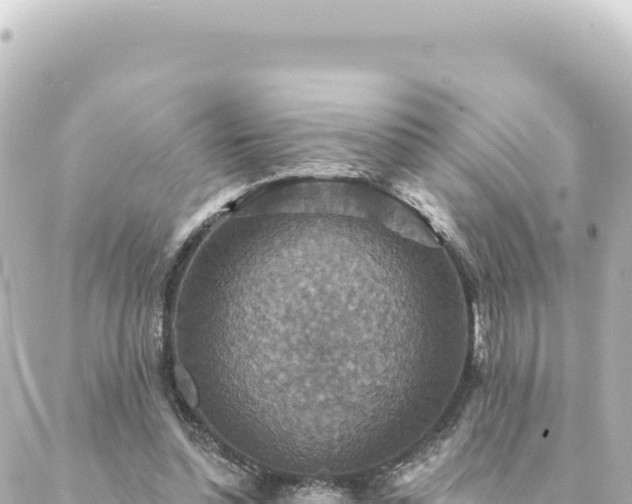 X0000088430348200705291530