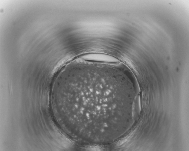 X0000088430349200705291530