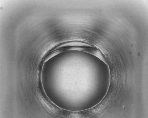 X0000088430350200705291530