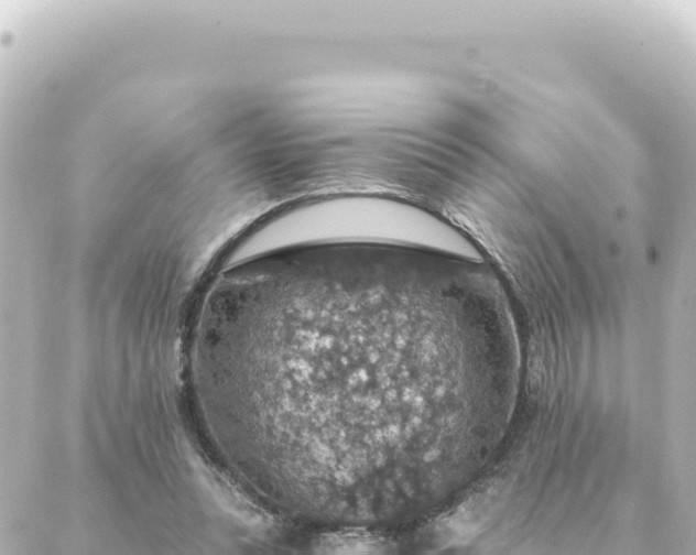 X0000088430351200705291530