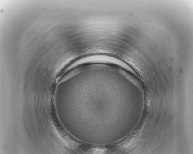 X0000088430352200705291530