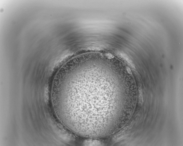 X0000088430354200705291531