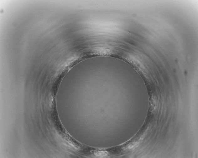 X0000088430355200705291531