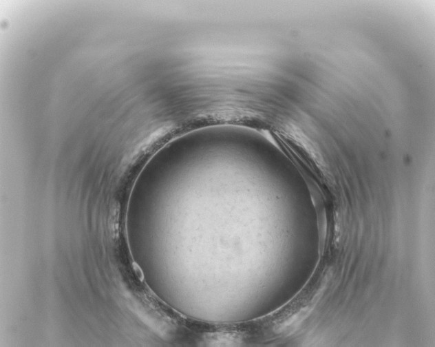 X0000088430356200705291531