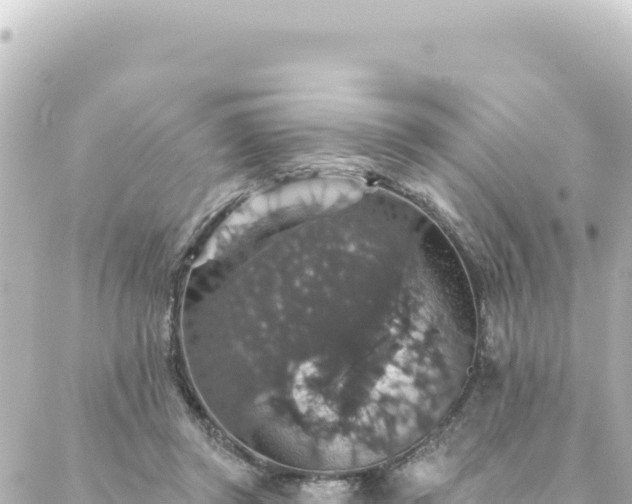 X0000088430357200705291531