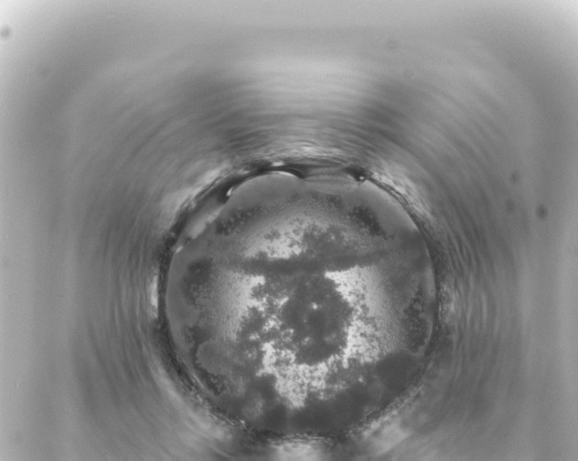 X0000088430358200705291531