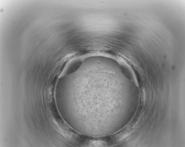 X0000088430360200705291531