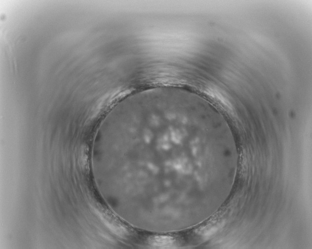 X0000088430361200705291531