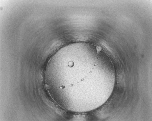 X0000088430362200705291531