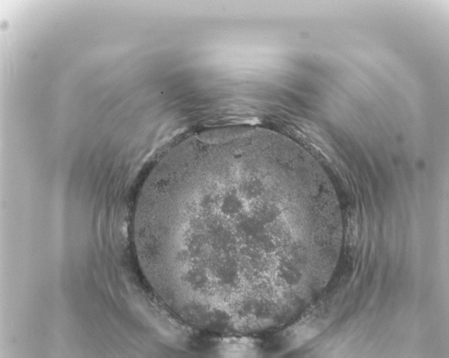 X0000088430363200705291531