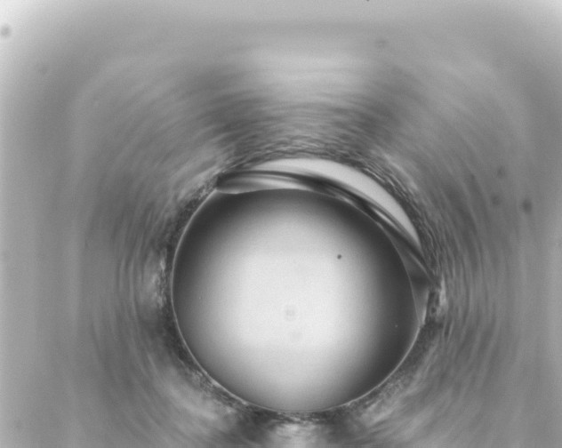 X0000088430364200705291531