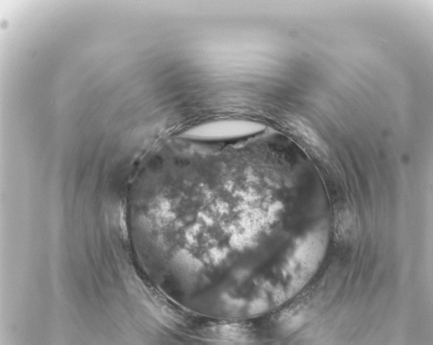 X0000088430365200705291531