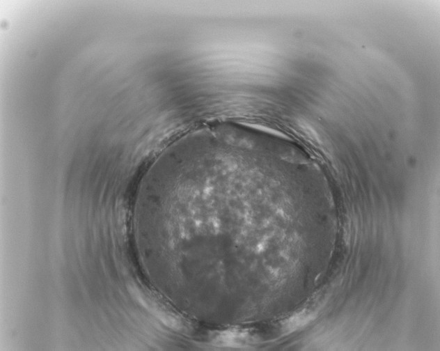 X0000088430366200705291531