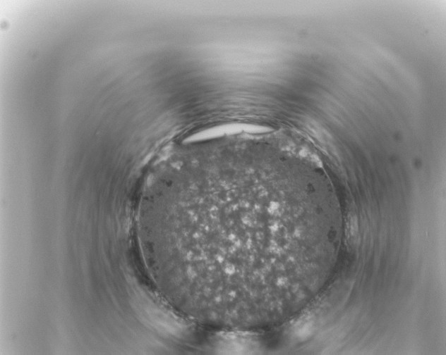 X0000088430367200705291531