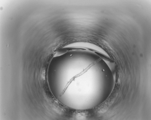 X0000088430368200705291531